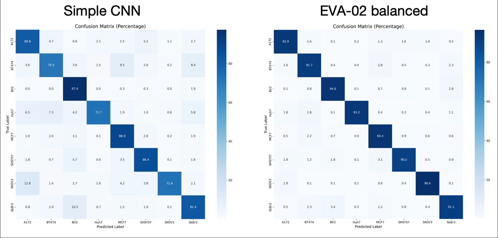 Confusion matrices: Custom CNN vs EVA-02 with class-balanced loading