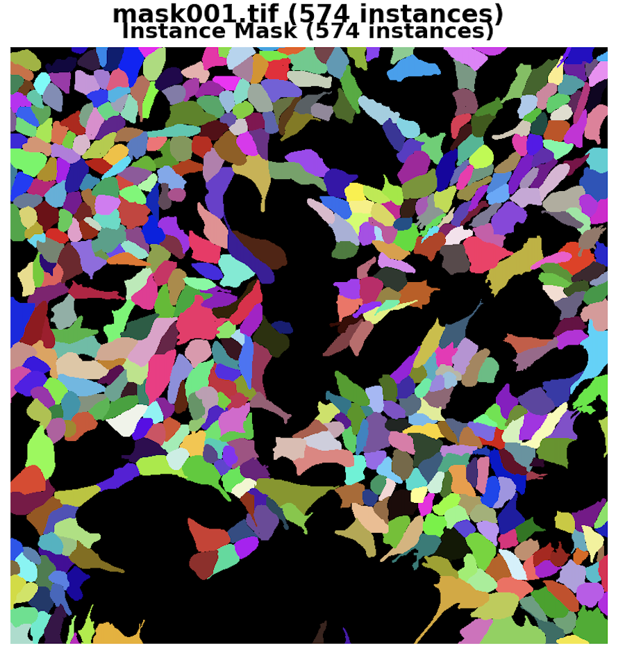 Dense instance segmentation with 574 cells