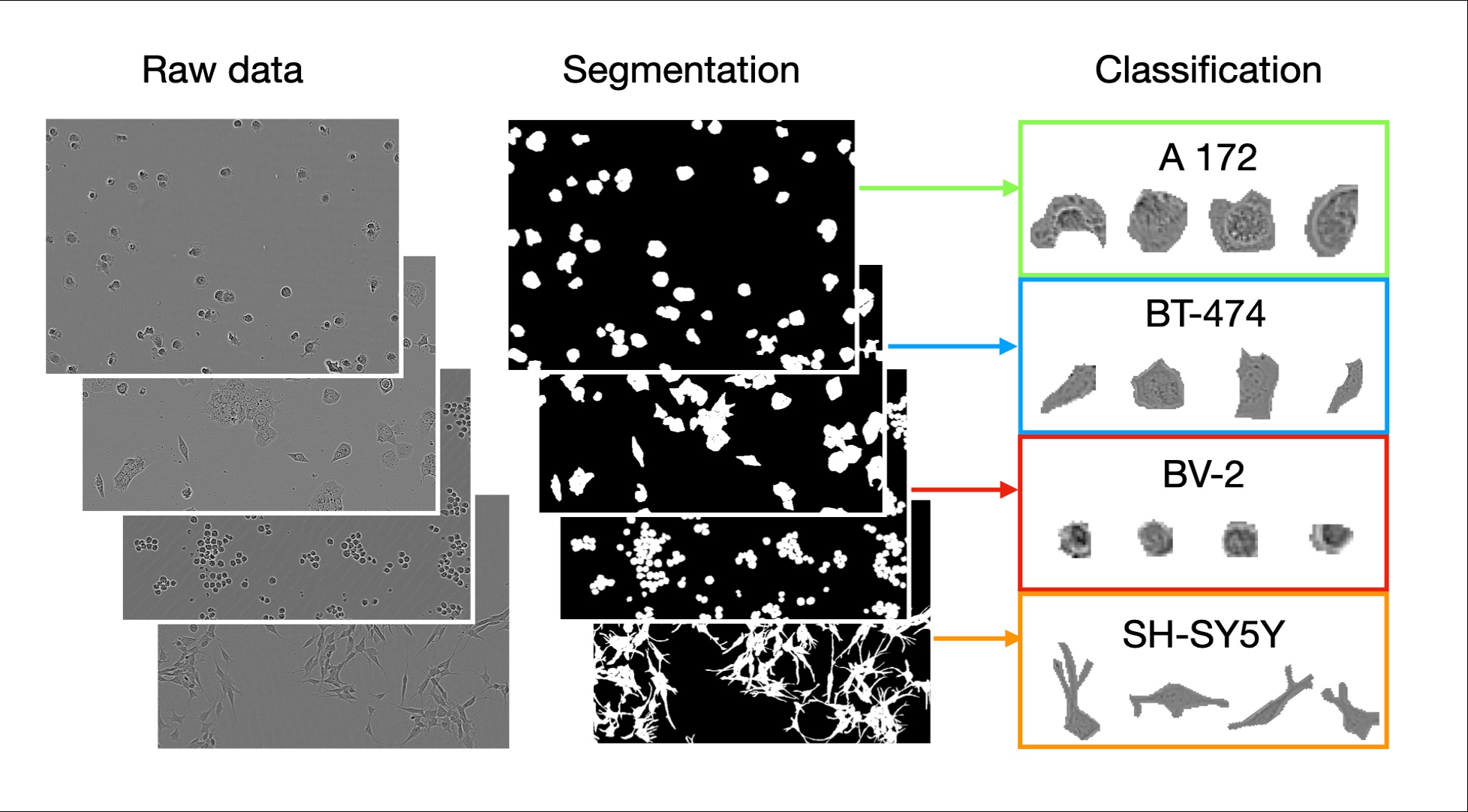 Raw data → Segmentation → Classification pipeline